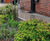 SuDS Overflow Gully -  for rain gardens and bioretention 1