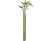 Tubex Combitube - plastic tree shelter for exposed sites 1