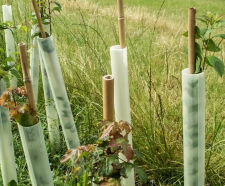 Tubex Easywrap - recycled plastic tree wrap for easy installation