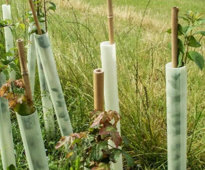Tubex Easywrap - recycled plastic tree wrap for easy installation