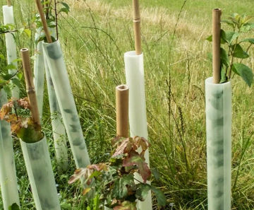 Tubex Easywrap - recycled plastic tree wrap for easy installation