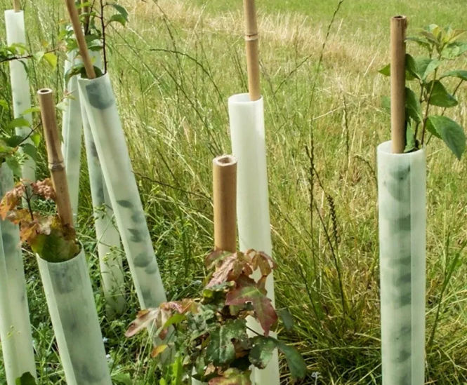 Tubex Easywrap - recycled plastic tree wrap for easy installation