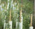 Tubex Easywrap - recycled plastic tree wrap for easy installation 1