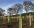 Tubex Standard Tree Shelter - recycled plastic tree protection tube 0