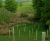 Tubex Standard Tree Shelter - recycled plastic tree protection tube 2