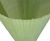 Tubex Standard Tree Shelter - recycled plastic tree protection tube 5
