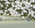 Tubex Standard Tree Shelter - recycled plastic tree protection tube 8