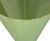 Tubex Shrub Shelter - recycled plastic tree guard for shrub protection 5