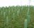 Tubex Shrub Shelter - recycled plastic tree guard for shrub protection 1