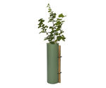 Tubex Shrub Shelter - recycled plastic tree guard for shrub protection