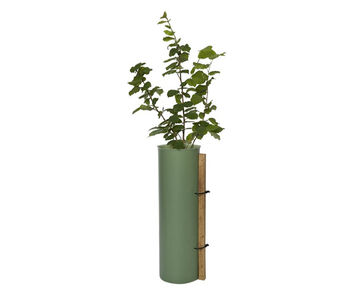 Tubex Shrub Shelter - recycled plastic tree guard for shrub protection