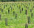 Tubex Sentree Treeguard - recycled plastic mesh roll for tree protection 0