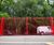 Bow top fencing matches primary school colour in Kent 2