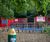 Bow top fencing matches primary school colour in Kent 8