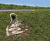 ACO KerbDrain and SuDS swale inlets for A12 bypass road 1