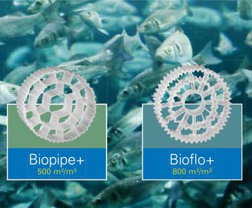 Biological filter media for Recirculation Aquaculture Systems