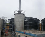 Biological filter media for odour control in bio-scrubbers