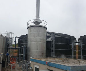 Biological filter media for odour control in bio-scrubbers