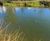 Mirror pools and natural, oval pond created at Fujifilm House 5