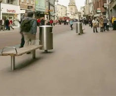 NatraTex Cotswold® surfacing - Queen Street, Oxford