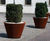 Pitocca - steel outdoor planter for commercial landscaping 3