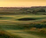 Golf club future-proofs fairways with sustainable grass seed mix  - on this page