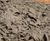 Environmental Spray Services for Vegetation and Erosion Control 5