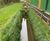 Rootlok Vegetated Wall System - retaining wall bags for erosion control 8