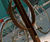 Cafe - contemporary steel or stainless steel cycle stand for 2 bikes 7