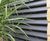 Italia-100 perimeter fencing for Chelmsford Sports Club 7