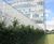 Roma-4 fencing, gates and screening, BBC Scotland 4