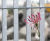 Roma-4 steel grating fences 6