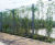 Genoa steel fencing 4