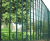 Genoa steel fencing 2