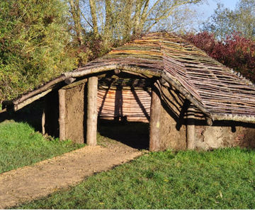 Sedum roof for recreated Iron Age roundhouse - Stanwick Lakes
