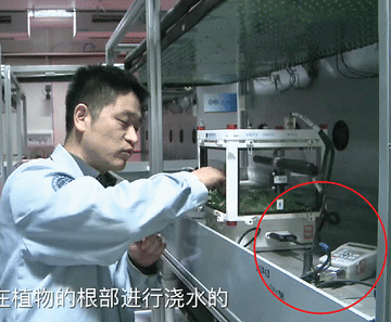 Astronauts use WET Sensor to help grow lettuce in space