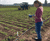 PR2 - soil moisture profile probe, analogue version 1