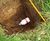 Soil sensors used on longest-running field experiment 2