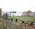 Balance Trail - 13, 17, 20 and 32m low level trail for soft ground 3