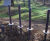 Stepping Stilts for balance trails 4