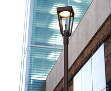 Ashbery Pedestrian Light