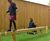 Balance Beam - wooden beam for adventure trails 0