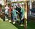 Wooden Play Swing Steps - standard fix (4 steps) 3
