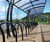 Lightwood Cycle Shelter - curved cantilever bike storage 1