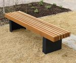 Litchard Bench
