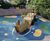Nautilus - multi-activity timber play boat 7