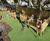 Design and build of tree house and timber trail for school 1