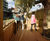 Design and build of tree house and timber trail for school 7