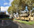 Design and build of tree house and timber trail for school 8
