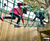 Design and build of tree house and timber trail for school 6